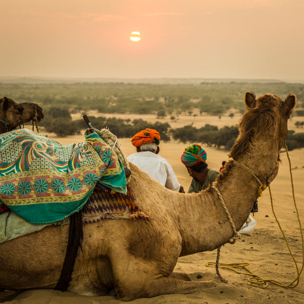 Sonnenuntergang in der Wüste