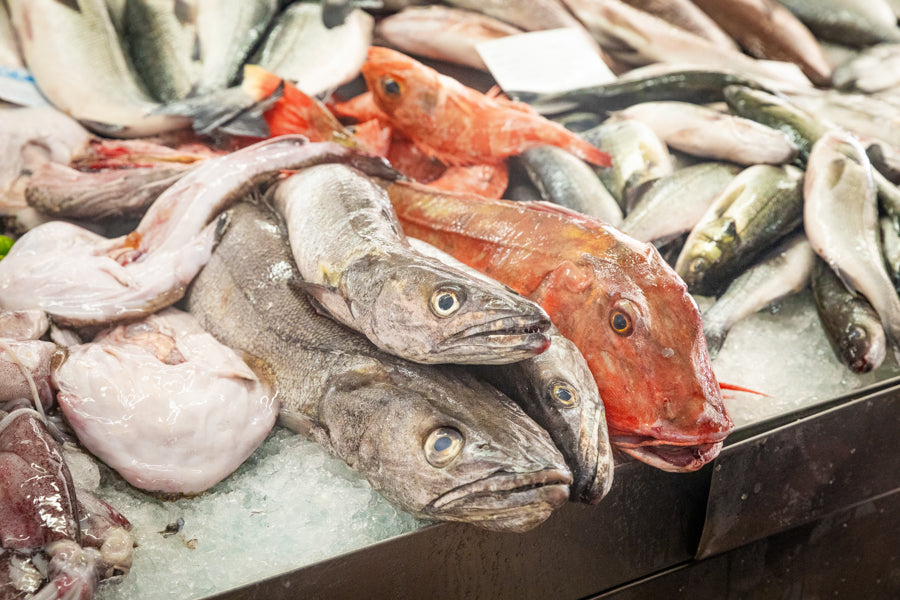 Fischmarkt