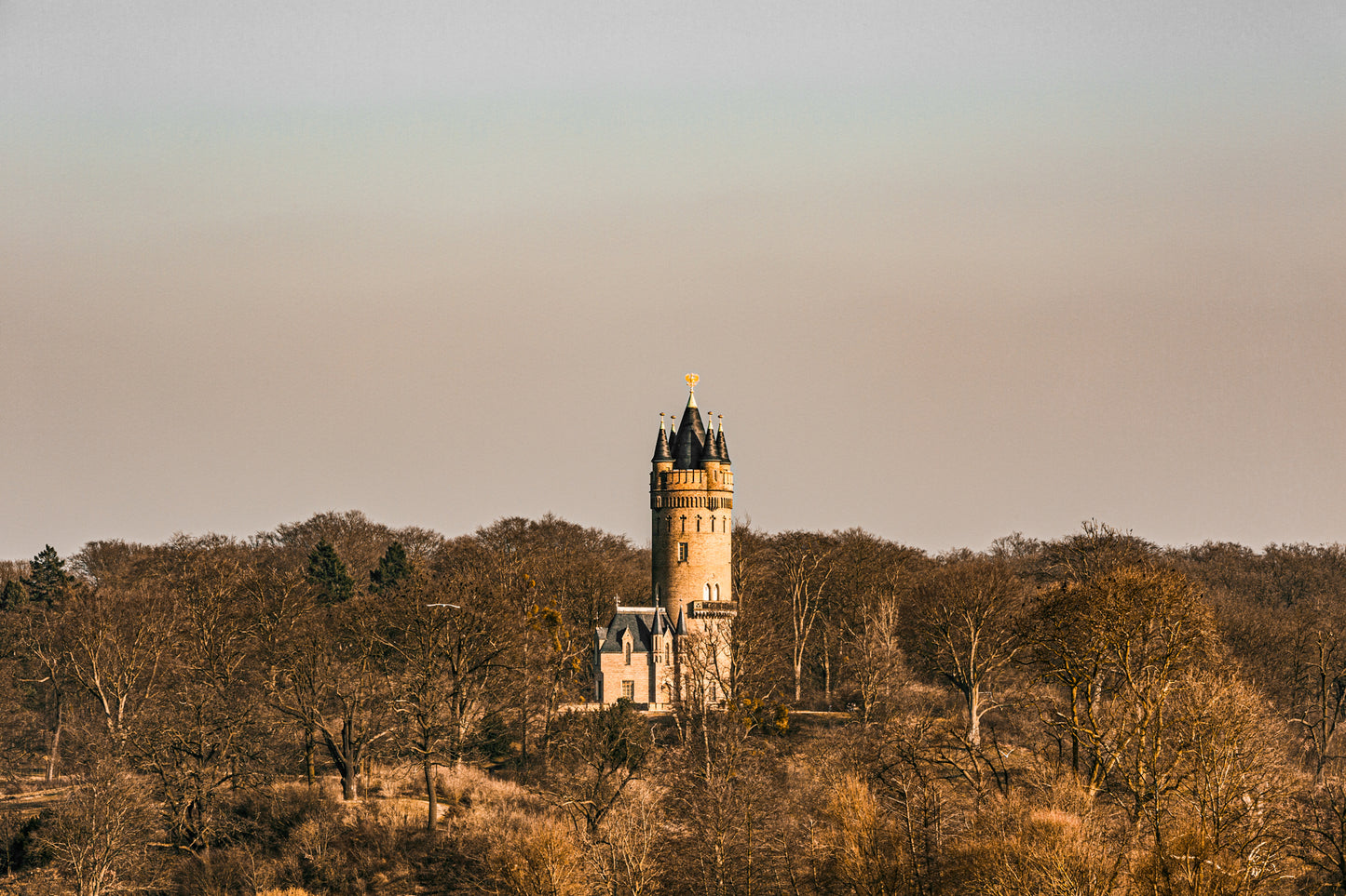 Flatowturm in der Abendsonne.